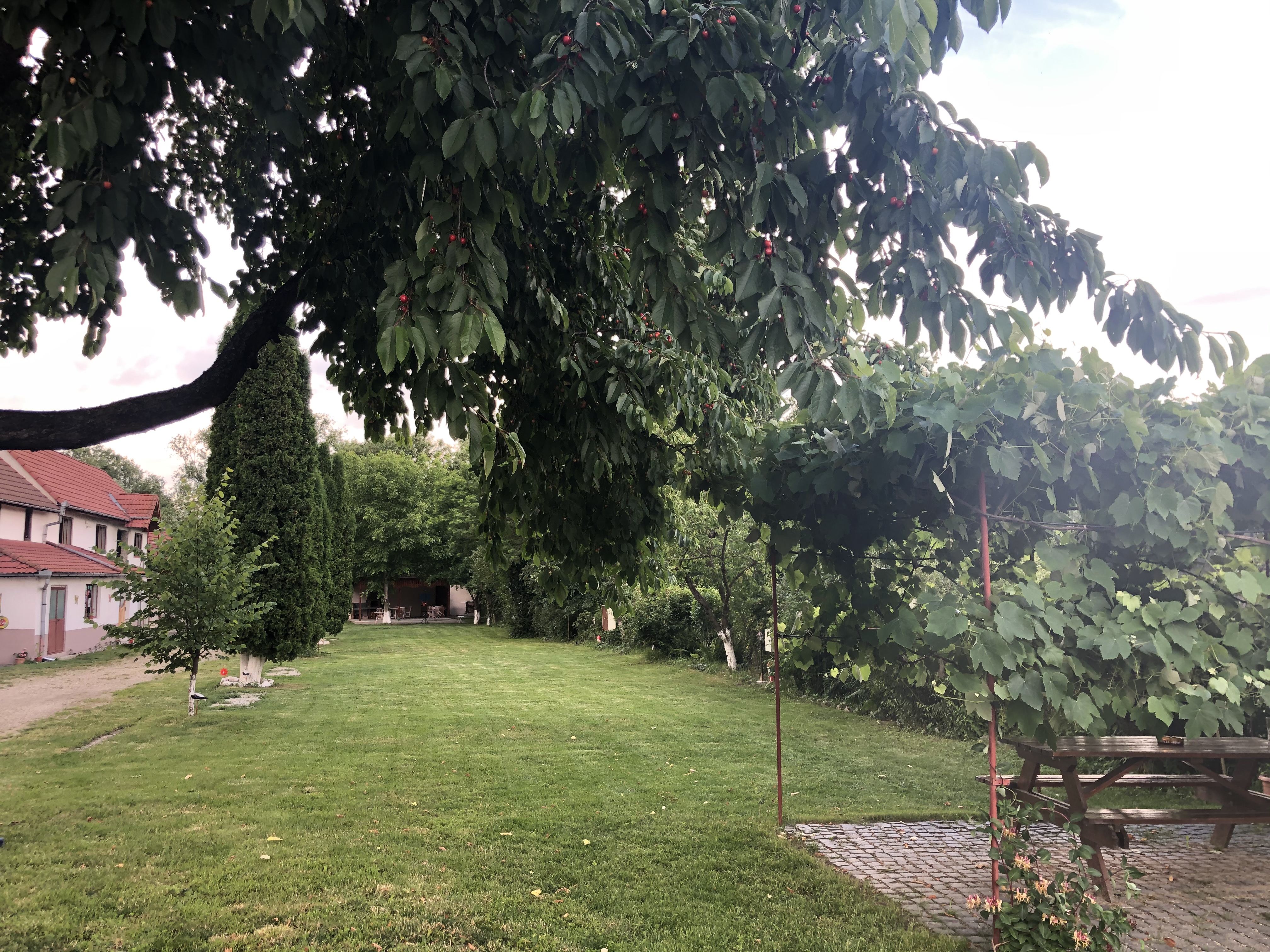 Zonă verde generoasă